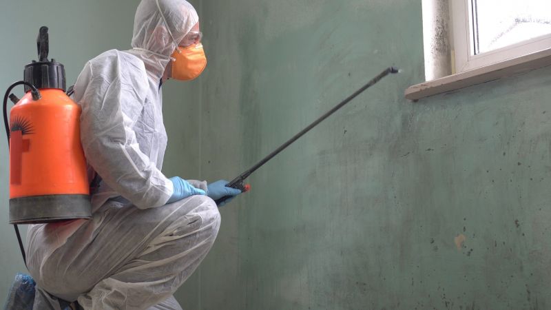 Stain and Mold Removal