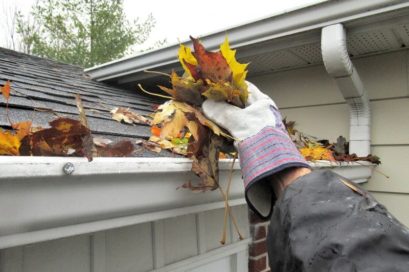 Eavestrough Clearing in Fredericksburg, VA