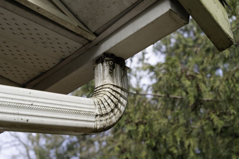 Eavestrough Clearing in Frederick, MD
