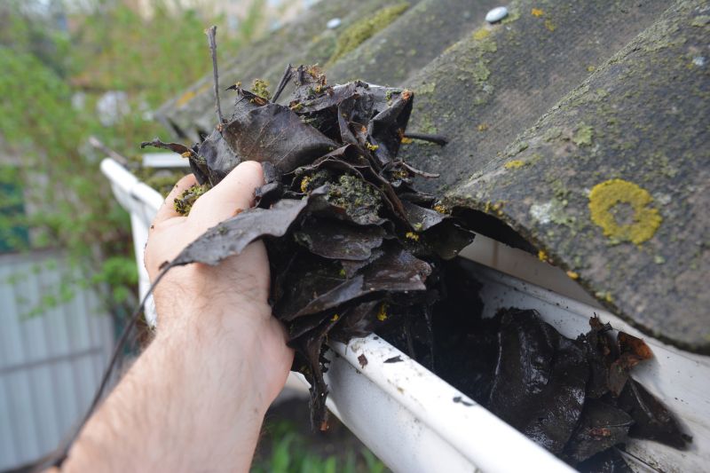 Gutter Leaf Clearing in Fredericksburg, VA