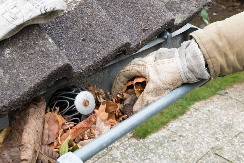 Gutter Leaf Clearing in Annapolis, MD