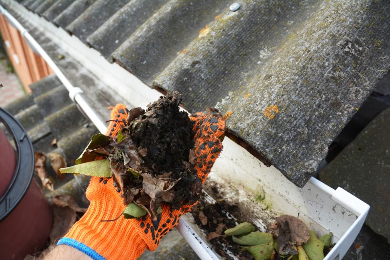 Gutter Pine Needle Removal in Long Island, NY