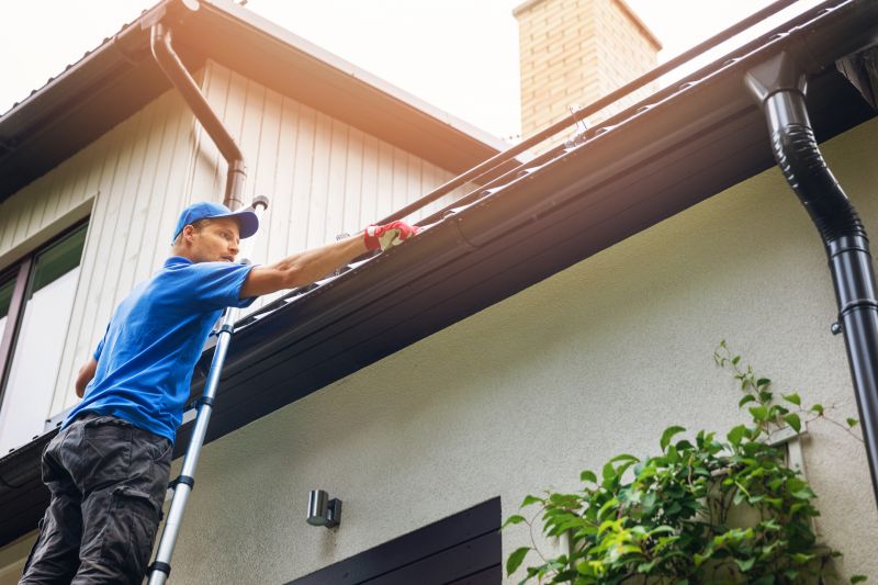 Roof Gutter Cleaning in Baltimore, MD