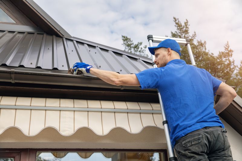 Roof Gutter Cleaning in Annapolis, MD