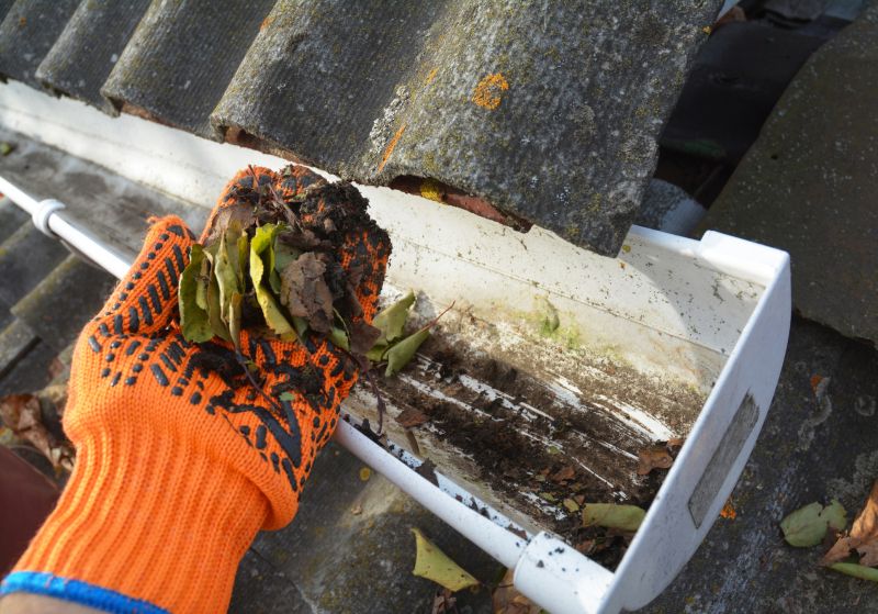 Roof Gutter Cleaning in Frederick, MD