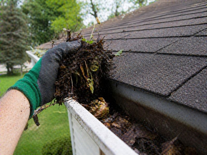 Gutter Leaves Removal in Richmond, VA