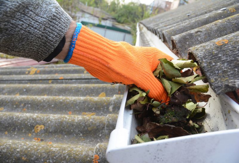 Roof Gutter Cleaning in Frederick, MD